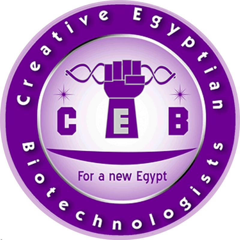 CEB - Create an Enticing Logo Display Website.8- CEB