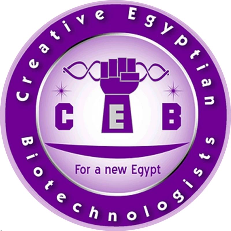 CEB - Create an Enticing Logo Display Website.8- CEB